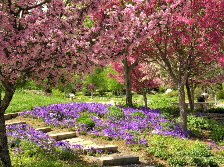 Yampa River Botanic Park , United States